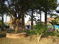  Nice garden with pool