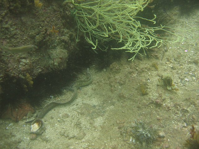IMG_0031