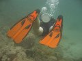  My orange fins are very visible under water