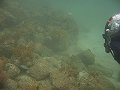  Me looking for life at first dive site, Ras Qidfah