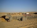  Sunflower Tours desert camp