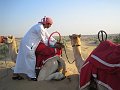  Ali arranging the camels