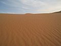  Dune close up